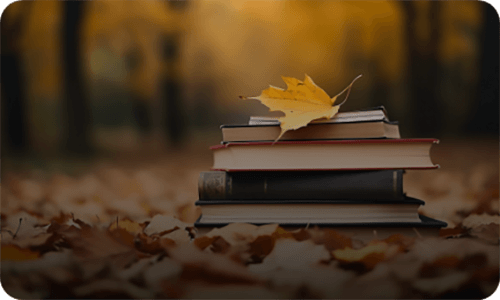 author website